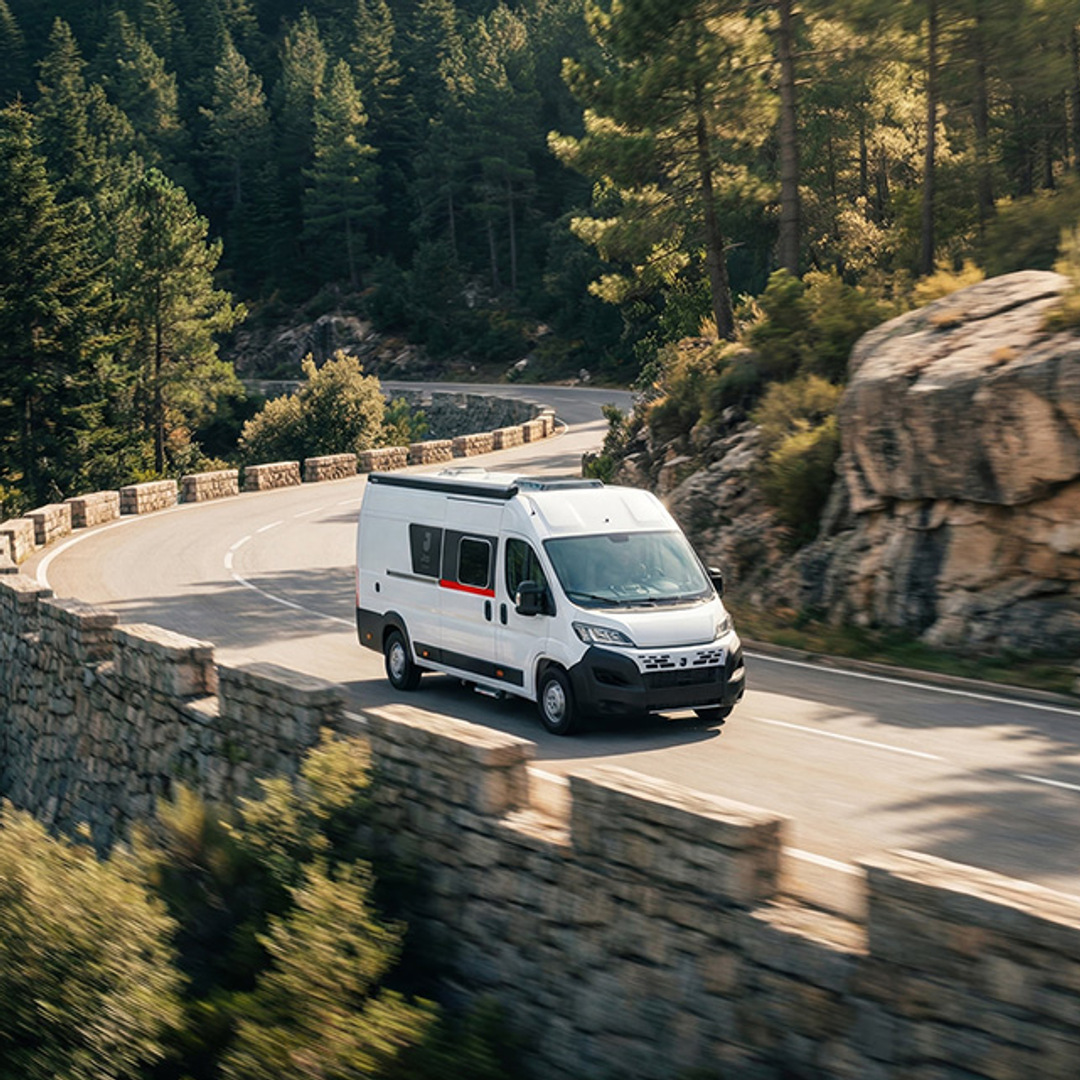 van (1)